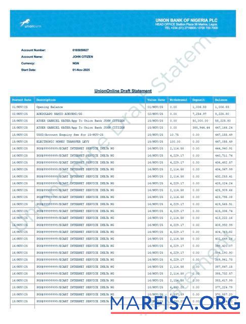 Printable Nigeria Union Bank of Nigeria account statement word download for verification